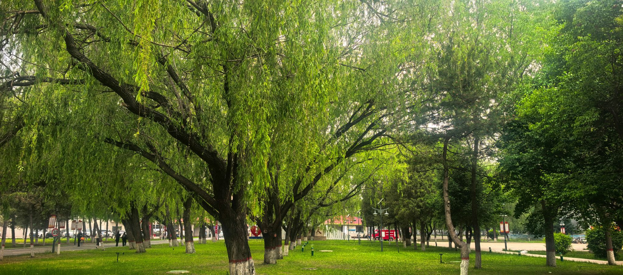 校园风景