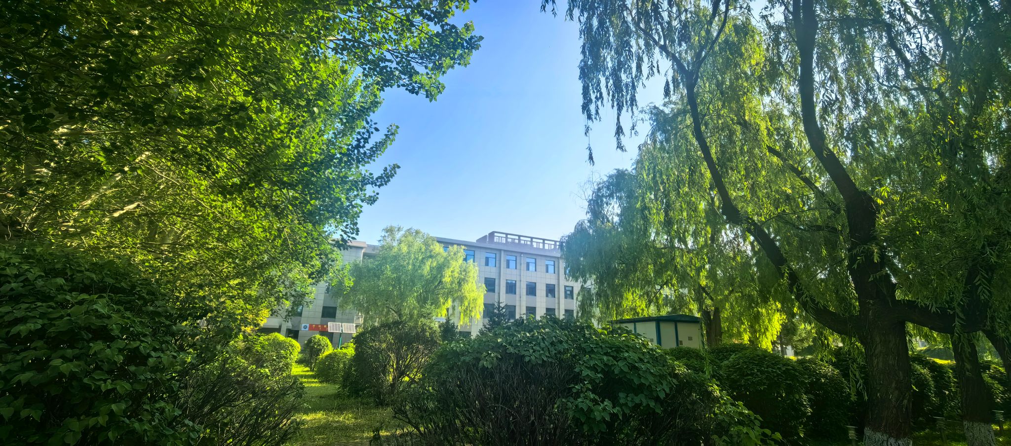 校园风景