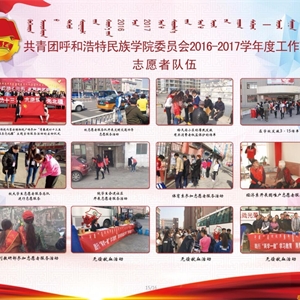 2017年度团委工作汇编