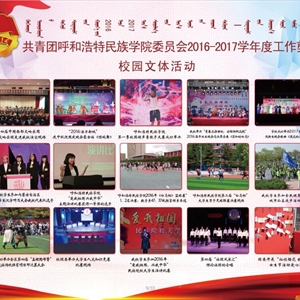 2017年度团委工作汇编