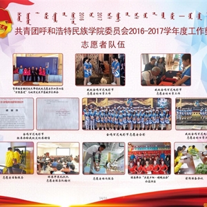 2017年度团委工作汇编