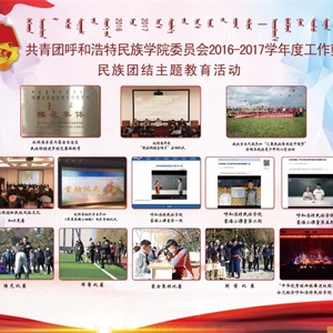 2017年度团委工作汇编