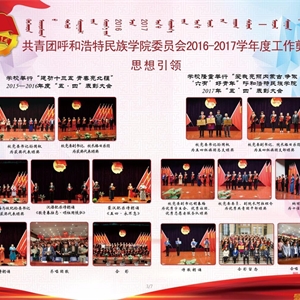 2017年度团委工作汇编