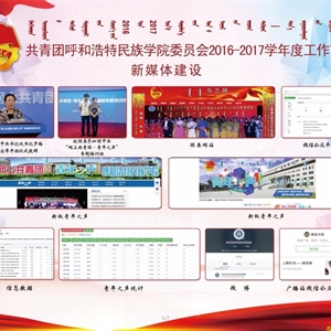 2017年度团委工作汇编