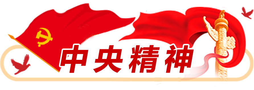 中央精神